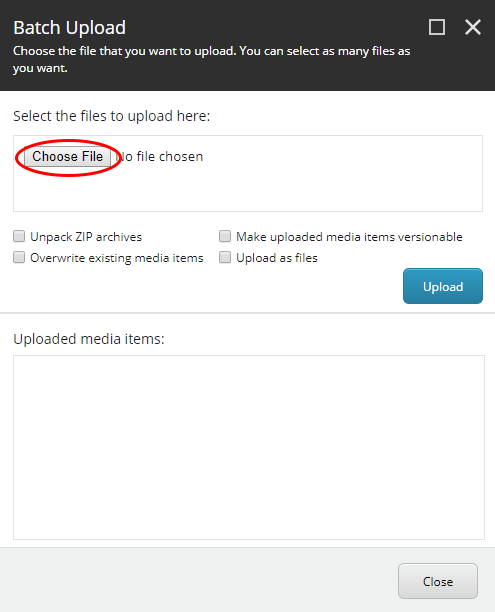 Upload Advanced Choose File button
