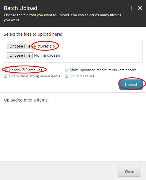 Upload Advanced unpack zip archive option