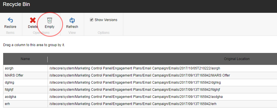 Empty the Sitecore Recycle Bin