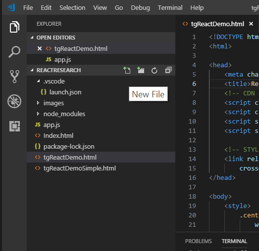 React Development with VS Code